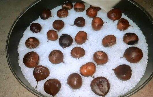 Castagne al forno con il sale e il canovaccio