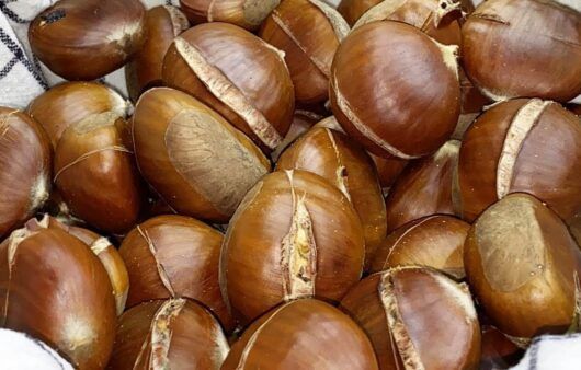 Castagne al forno perfette