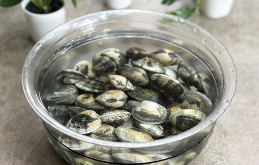 Come spurgare le vongole