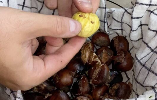 Castagne al forno ubriache al vino rosso