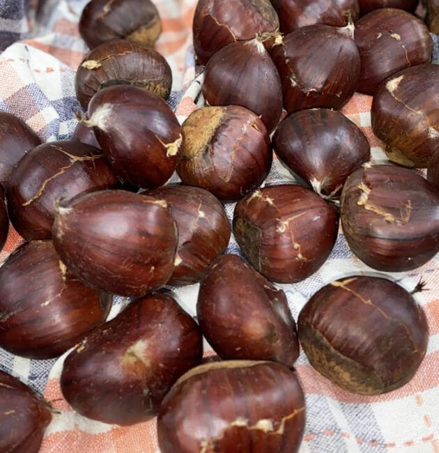 Castagne fresche tutto l'anno