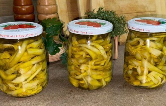 Melanzane sott'olio fatte in casa facilissime senza rischi