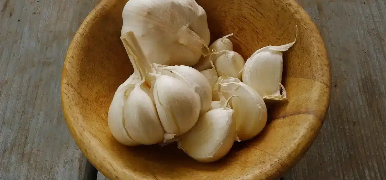 Tutto sull'aglio bianco: caratteristiche e benessere. Perché sceglierlo