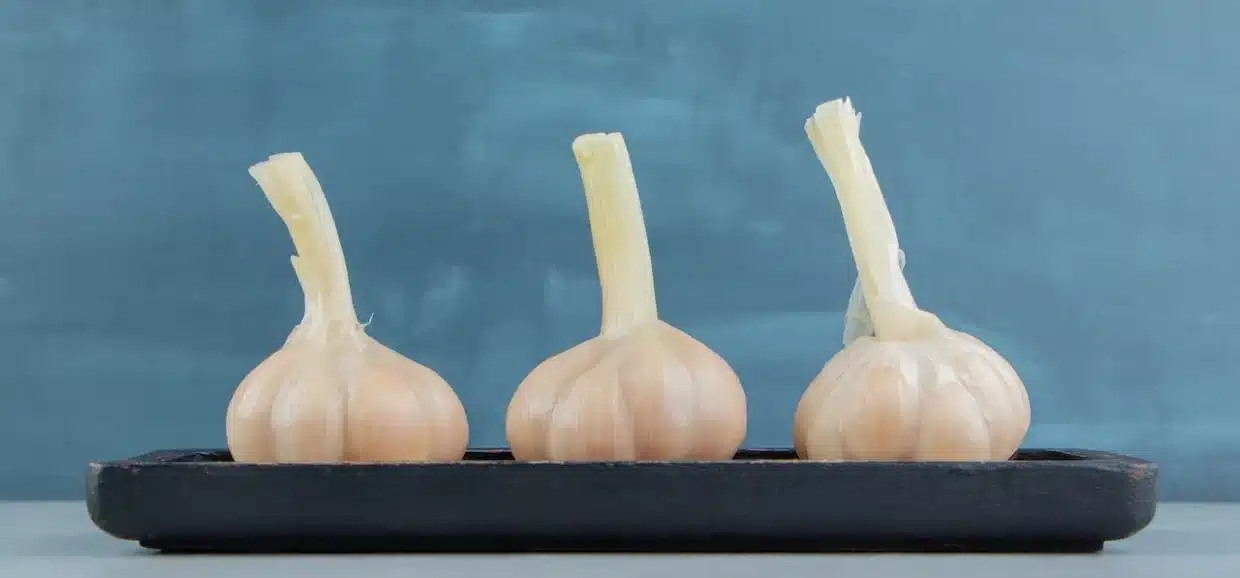 Tutto sull'aglio elefante (aglione): Storia, proprietà e benessere. Perché usarlo in cucina