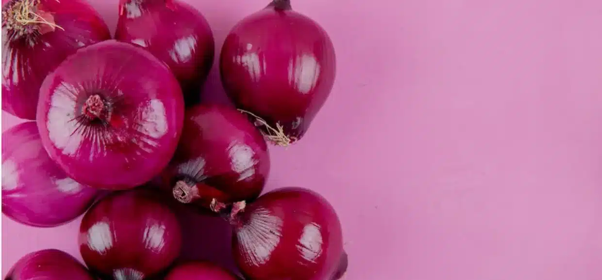La cipolla rossa è un ingrediente versatile e ricco di fascino, capace di trasformare ogni piatto con il suo sapore unico e la sua vivace colorazione. In questo articolo approfondiremo la sua storia, l'origine e le tecniche di coltivazione, oltre alle sue preziose proprietà nutrizionali e alle curiosità che la rendono indispensabile in cucina.