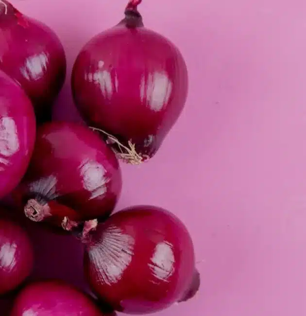 La cipolla rossa è un ingrediente versatile e ricco di fascino, capace di trasformare ogni piatto con il suo sapore unico e la sua vivace colorazione. In questo articolo approfondiremo la sua storia, l'origine e le tecniche di coltivazione, oltre alle sue preziose proprietà nutrizionali e alle curiosità che la rendono indispensabile in cucina.