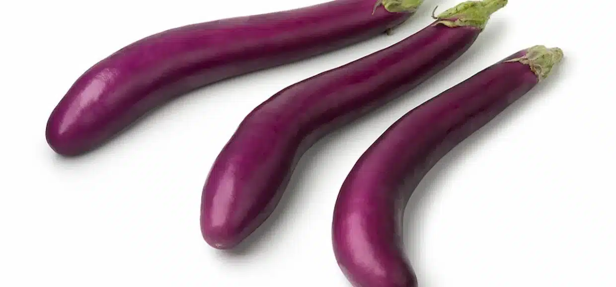 La melanzana giapponese è un ortaggio distintivo, noto per la sua forma allungata, la buccia sottile e il sapore delicato. Utilizzata tradizionalmente nella cucina giapponese e apprezzata in tutto il mondo per la sua versatilità, offre numerosi benefici nutrizionali e possibilità culinarie innovative. In questo articolo scopriremo la sua storia, le tecniche di coltivazione, le proprietà benefiche e le curiosità che la rendono un ingrediente prezioso sia in cucina tradizionale che moderna.