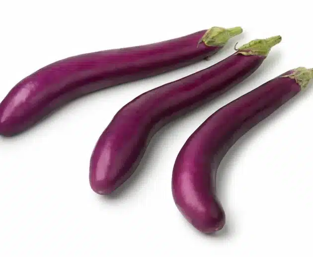 La melanzana giapponese è un ortaggio distintivo, noto per la sua forma allungata, la buccia sottile e il sapore delicato. Utilizzata tradizionalmente nella cucina giapponese e apprezzata in tutto il mondo per la sua versatilità, offre numerosi benefici nutrizionali e possibilità culinarie innovative. In questo articolo scopriremo la sua storia, le tecniche di coltivazione, le proprietà benefiche e le curiosità che la rendono un ingrediente prezioso sia in cucina tradizionale che moderna.