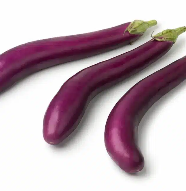 La melanzana giapponese è un ortaggio distintivo, noto per la sua forma allungata, la buccia sottile e il sapore delicato. Utilizzata tradizionalmente nella cucina giapponese e apprezzata in tutto il mondo per la sua versatilità, offre numerosi benefici nutrizionali e possibilità culinarie innovative. In questo articolo scopriremo la sua storia, le tecniche di coltivazione, le proprietà benefiche e le curiosità che la rendono un ingrediente prezioso sia in cucina tradizionale che moderna.