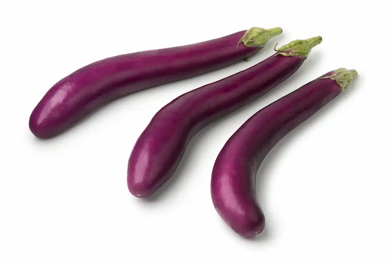 La melanzana giapponese è un ortaggio distintivo, noto per la sua forma allungata, la buccia sottile e il sapore delicato. Utilizzata tradizionalmente nella cucina giapponese e apprezzata in tutto il mondo per la sua versatilità, offre numerosi benefici nutrizionali e possibilità culinarie innovative. In questo articolo scopriremo la sua storia, le tecniche di coltivazione, le proprietà benefiche e le curiosità che la rendono un ingrediente prezioso sia in cucina tradizionale che moderna.