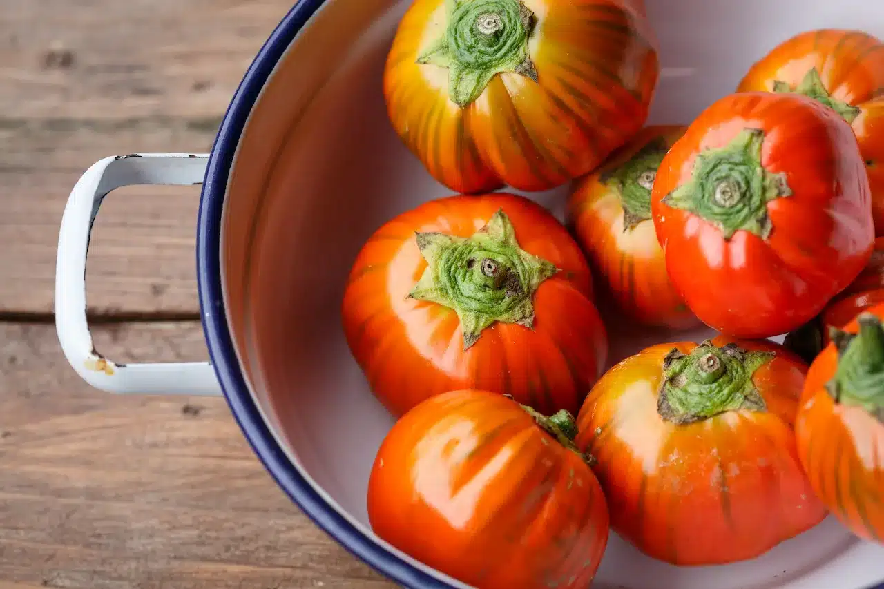 La melanzana rossa di Rotonda è una varietà d’eccezione, apprezzata per il suo colore intenso, il sapore unico e le caratteristiche organolettiche che la distinguono dalle altre melanzane. Coltivata nella storica area di Rotonda, questa melanzana rappresenta un vero e proprio simbolo di eccellenza agricola e culinaria.