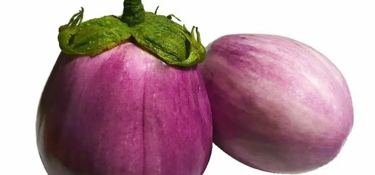 La melanzana viola è un ortaggio iconico, noto per il suo colore intenso e il sapore ricco e leggermente amarognolo, che la rende protagonista in molte cucine tradizionali e innovative. In questo articolo approfondiremo la sua storia, le tecniche di coltivazione, le proprietà nutrizionali e le curiosità che la rendono un ingrediente indispensabile.