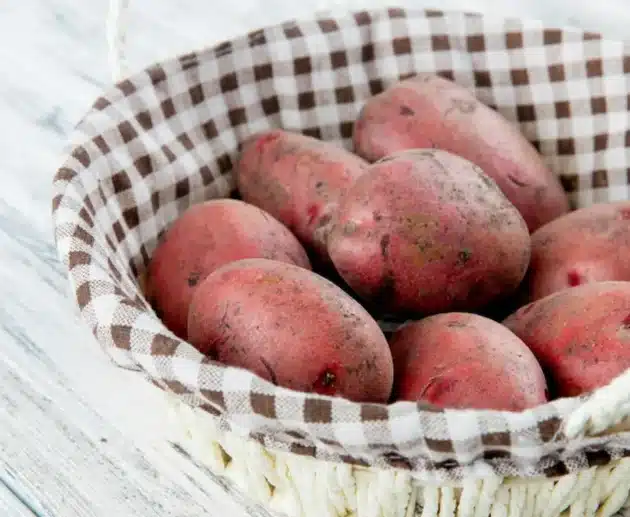 Tutto sulla Patata Rossa: proprietà, salute e benessere. Perché fa bene al nostro organismo