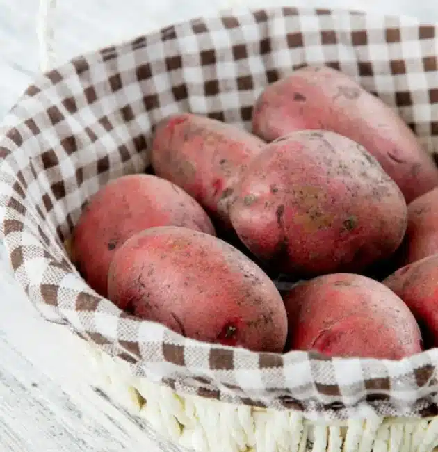 Tutto sulla Patata Rossa: proprietà, salute e benessere. Perché fa bene al nostro organismo