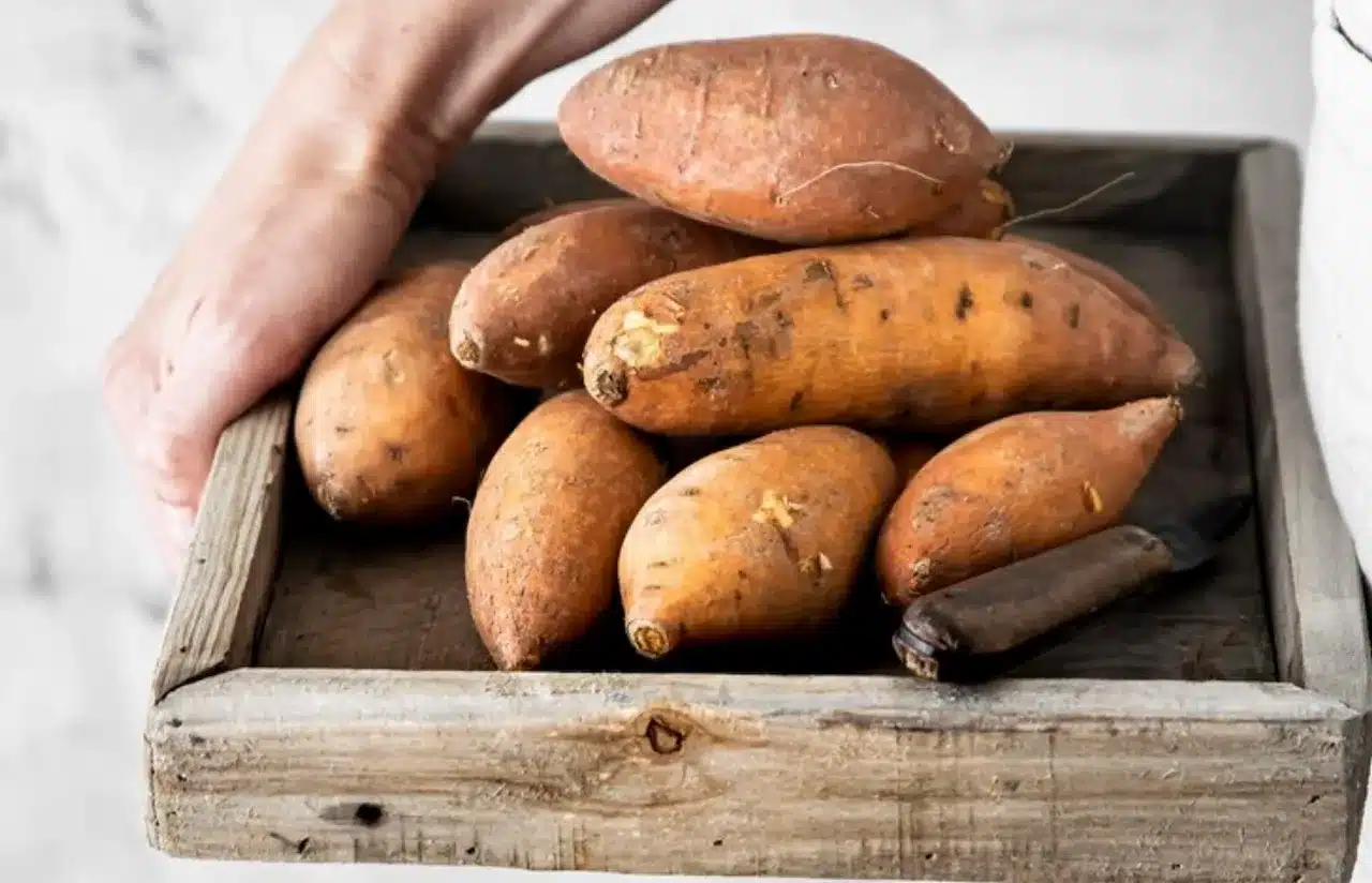 Ecco tutto quello che c'è da sapere sulla particolarissima variante della patata, la dolce americana: grazie ai suoi nutrienti e al sapore inconfondibile è un valido alleato per il nostro organismo e per ampliare il nostro ricettario!