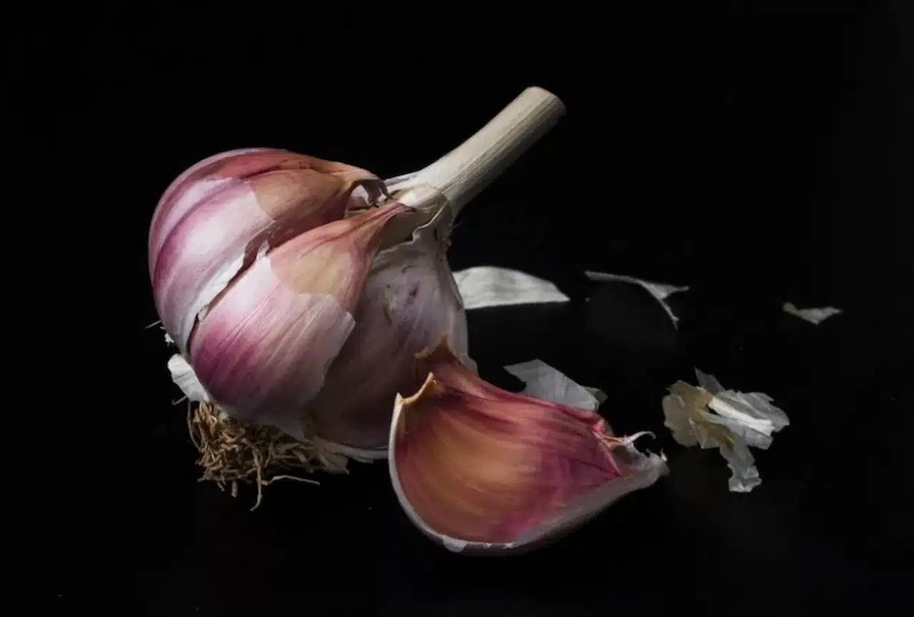 L’aglio rosso è un ingrediente dal carattere deciso, amato sia per il suo impatto in cucina che per le sue molteplici virtù salutari. In questo articolo approfondiremo la sua storia, l'origine della sua coltivazione, le proprietà nutrizionali e le curiosità che lo rendono così speciale.