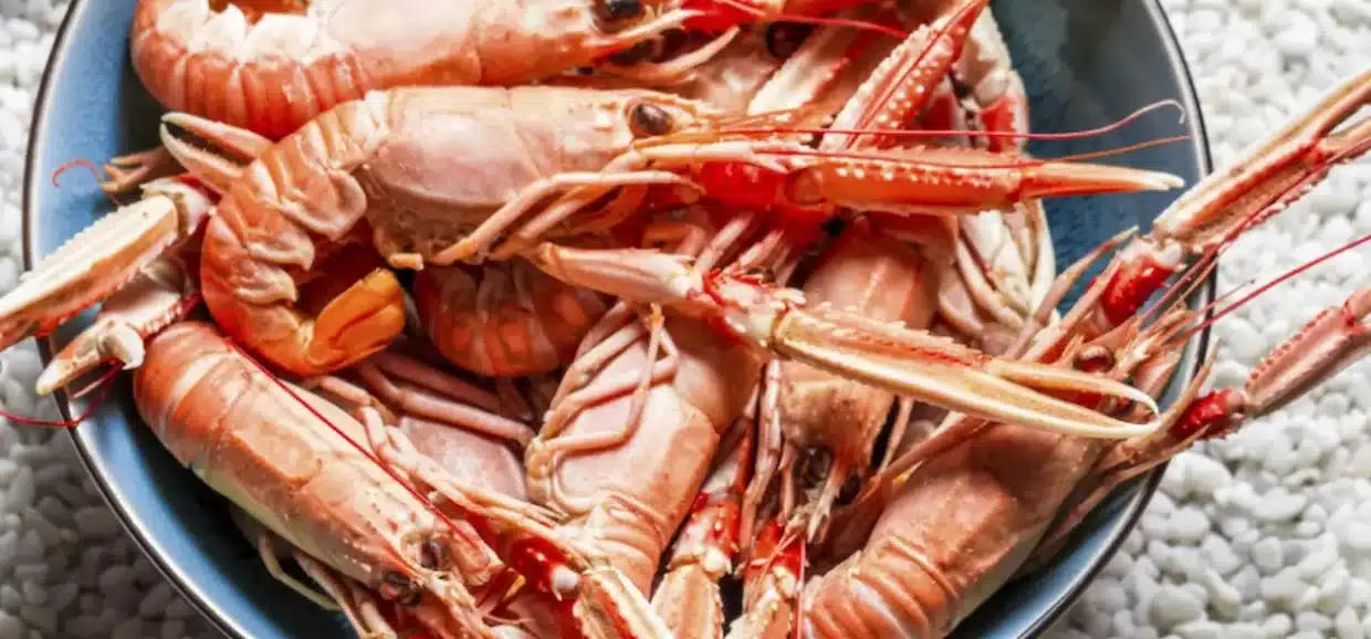 Tutto sugli scampi: ecco cosa c'è da sapere su proprietà e valori