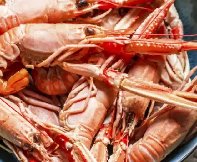 Tutto sugli scampi: ecco cosa c'è da sapere su proprietà e valori
