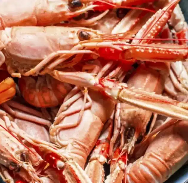 Tutto sugli scampi: ecco cosa c'è da sapere su proprietà e valori