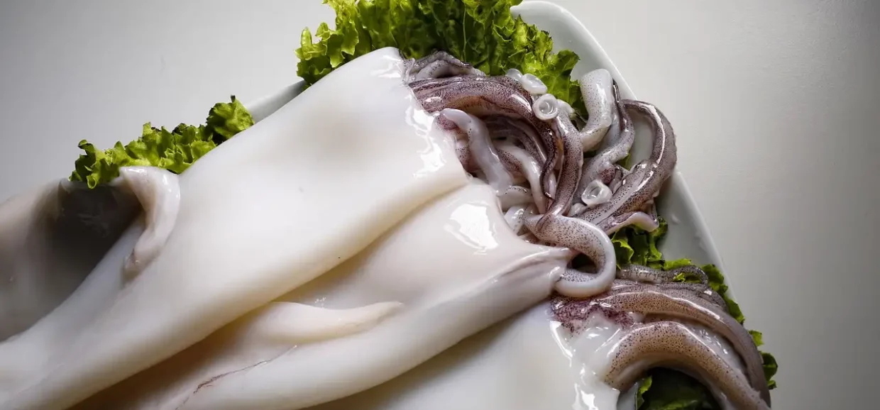 Tutto sui Calamari: ecco cosa sapere su ingredienti e proprietà
