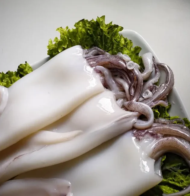Tutto sui Calamari: ecco cosa sapere su ingredienti e proprietà