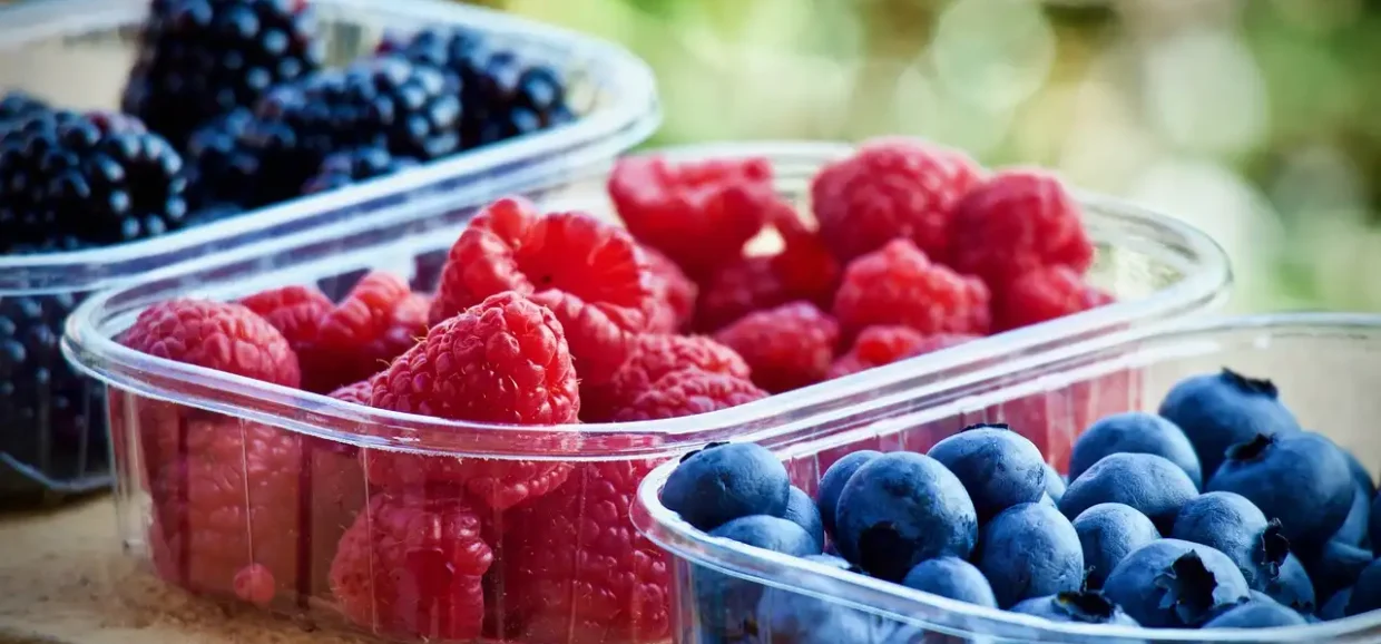 Tutto sui Frutti di Bosco: cosa c'è da sapere