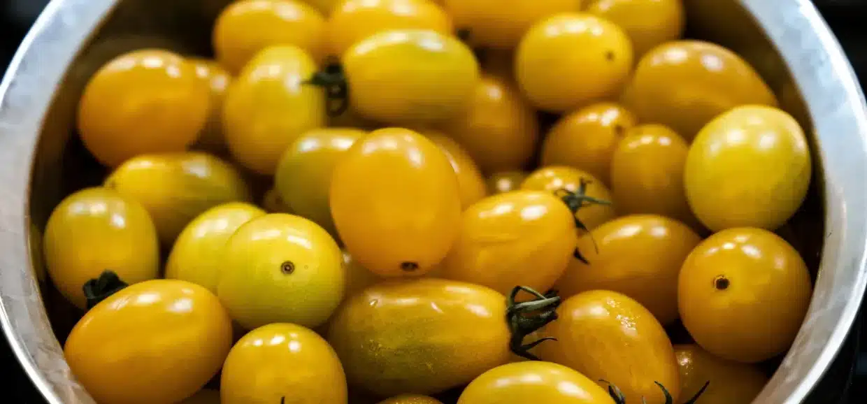 Tutto sui pomodorini gialli: cosa sapere su proprietà e nutrienti
