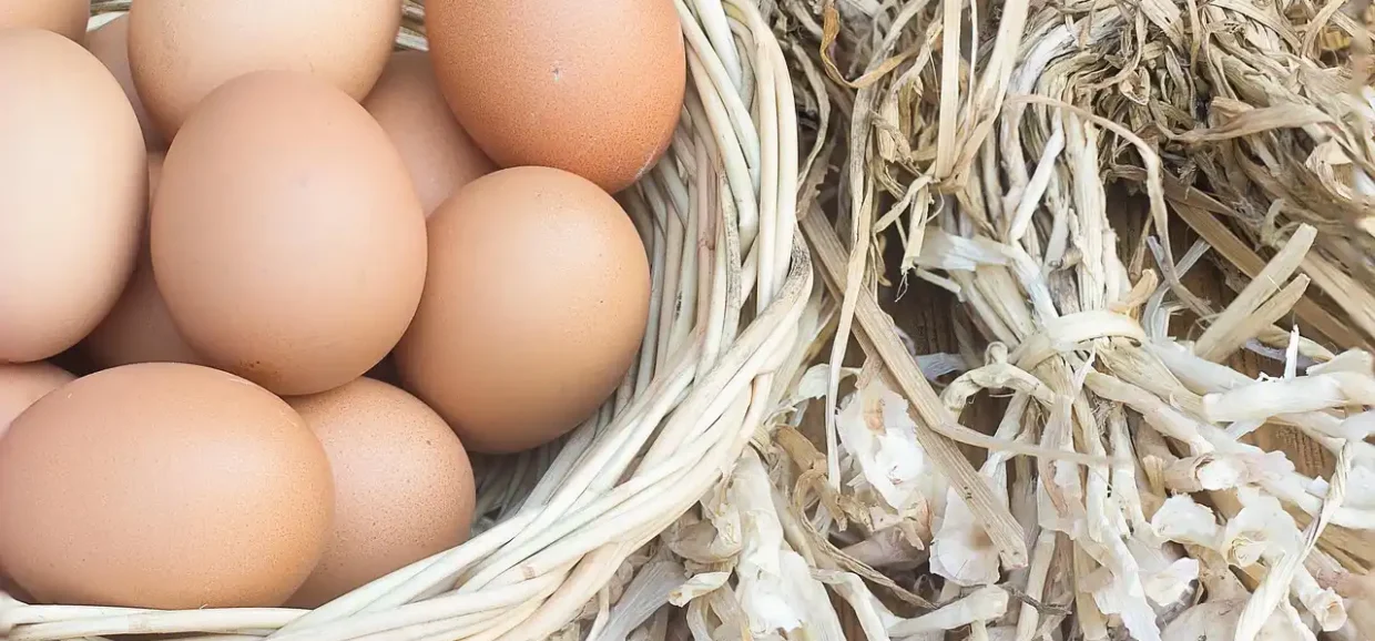 Tutto sulle uova: scopri cosa sapere su valori e nutrienti
