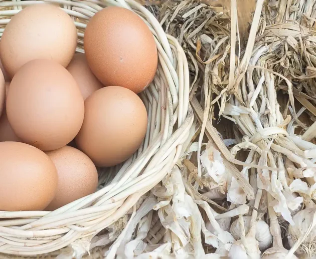 Tutto sulle uova: scopri cosa sapere su valori e nutrienti