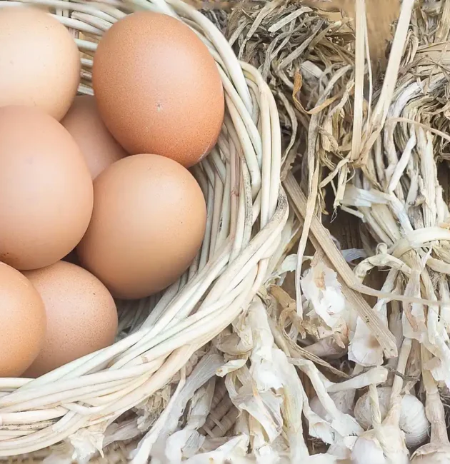 Tutto sulle uova: scopri cosa sapere su valori e nutrienti