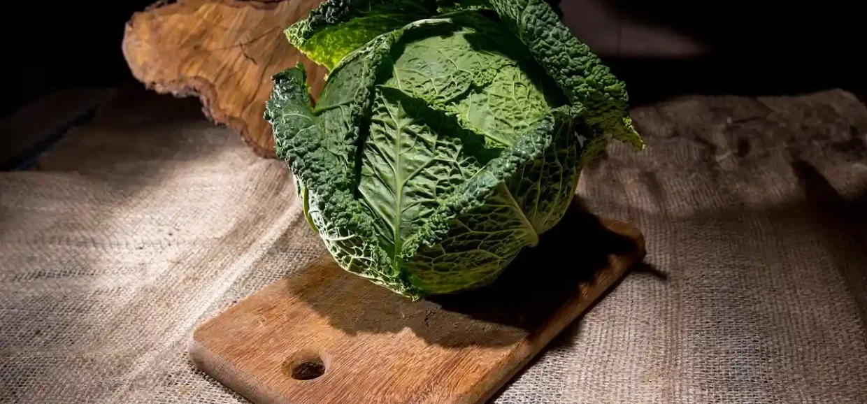 Tutto ciò da sapere sulla Verza: salute e benessere in cucina. Perché integrarla nella dieta