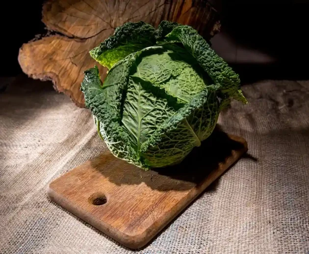 Tutto ciò da sapere sulla Verza: salute e benessere in cucina. Perché integrarla nella dieta