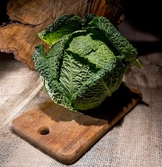 Tutto ciò da sapere sulla Verza: salute e benessere in cucina. Perché integrarla nella dieta