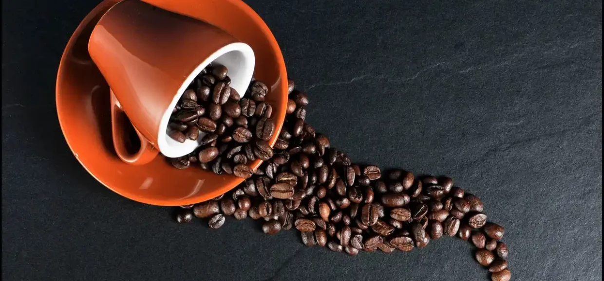 Caffè Arabica vs Caffè Robusta: differenze, benefici e curiosità
