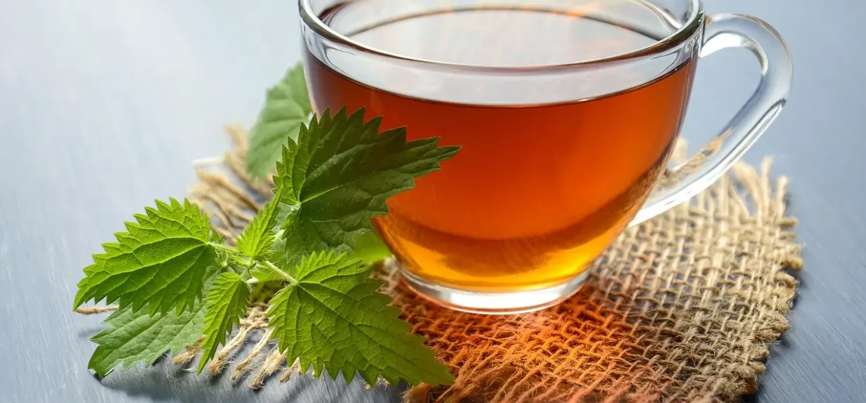 Che differenza c'è tra tè e tisana? Valori a confronto