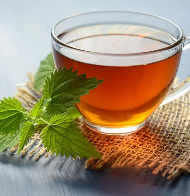 Che differenza c'è tra tè e tisana? Valori a confronto
