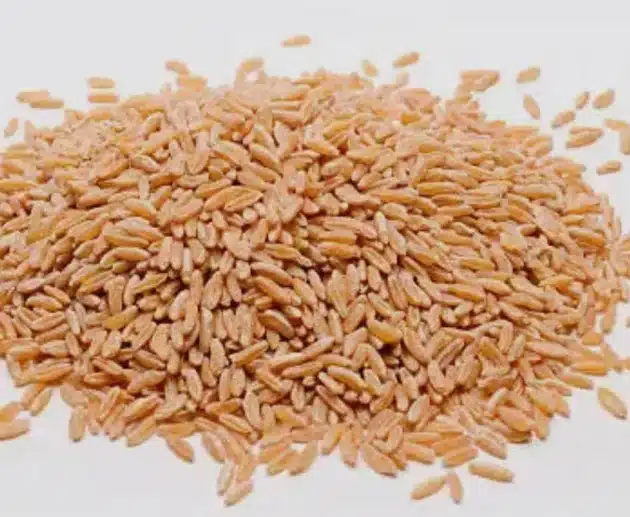 Il kamut fa bene? Ecco cosa sapere sul cereale