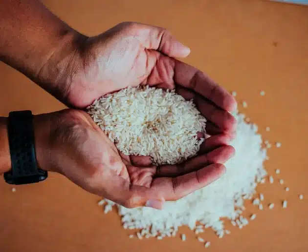 Tutto sul riso arborio: proprietà e valori del cereale