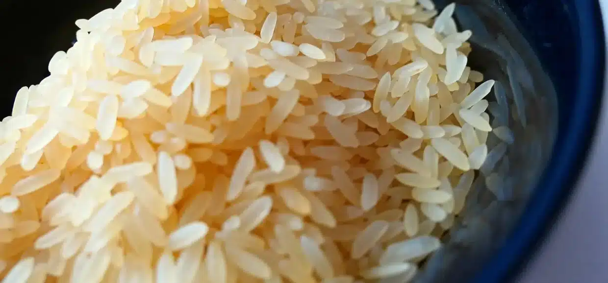Tutto sul riso Jasmine: salute e benessere in cucina