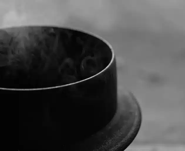 Tutto sul tè bianco: valori e salute. Quando consumarlo