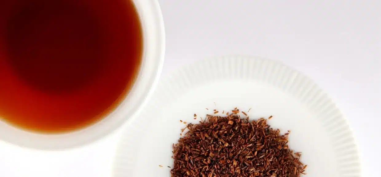 Tè Rooibos: quanto fa bene e quali proprietà ha