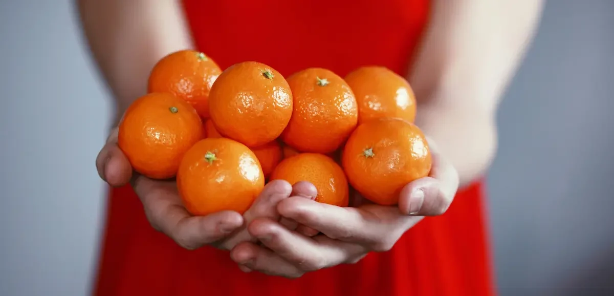 mani che mantengono arance e mandarini freschi