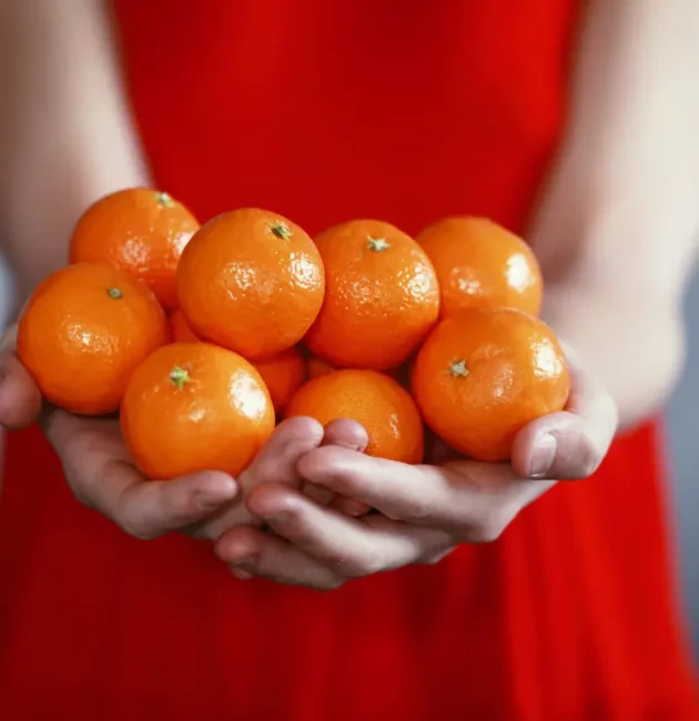 mani che mantengono arance e mandarini freschi