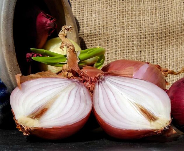 Il segreto della cipolla che non brucia mai: l’errore che fa il 90% delle persone