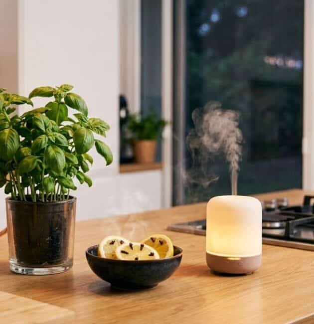 Rimedi naturali contro le zanzare in cucina con basilico, limone e diffusore di oli essenziali