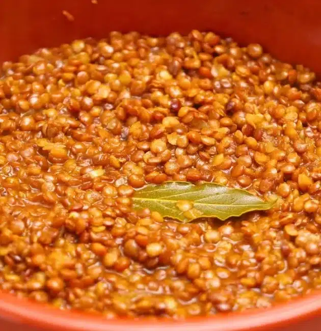 Zuppa di lenticchie con crostini aromatizzati con olio e origano: ricetta facile e veloce, perfetta per un piatto caldo, sano e gustoso.