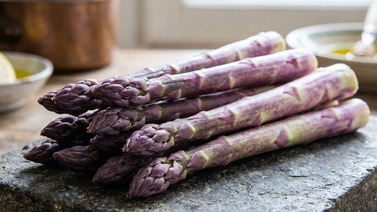 Esemplari di asparagi viola Violetto d'Albenga, la varietร piรน dolce e rara caratterizzata da un colore intenso e consistenza tenera.