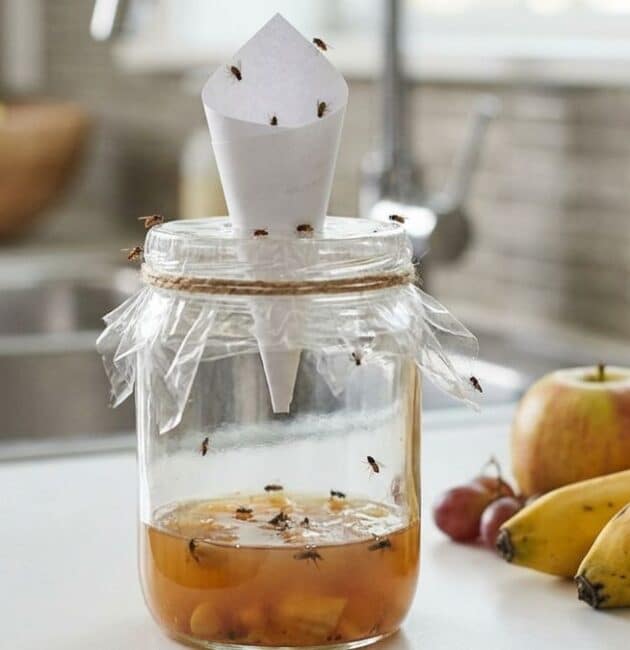 Trappola fai-da-te per eliminare i moscerini della frutta in cucina con aceto e imbuto.